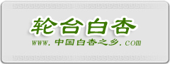 尺寸：240*90