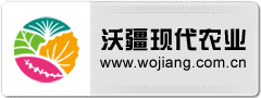 尺寸：240*90